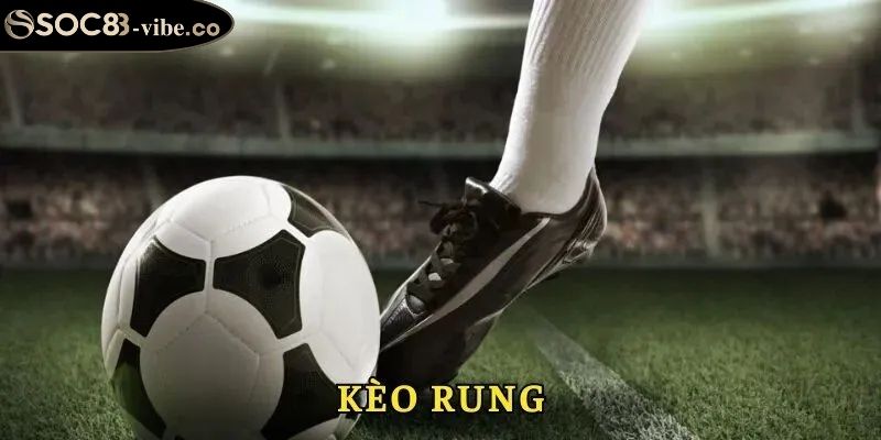 Kèo Rung SOC88 Với Hướng Dẫn Toàn Diện Từ Cao Thủ Lão Làng 1 Những nét chính về kèo rung SOC88